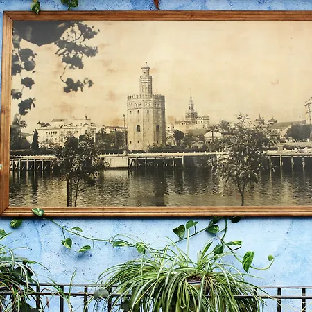 Lisdos Seville